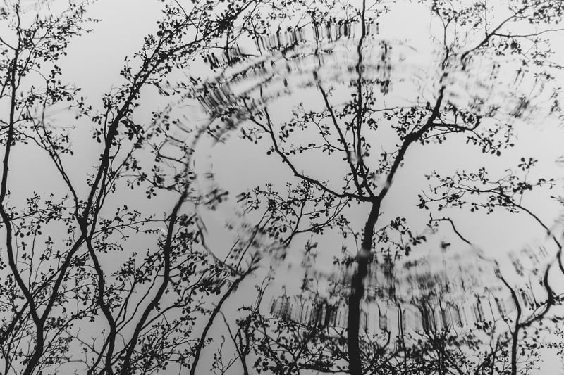 Whimsical Canopy Design